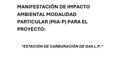 Manifestación de Impacto Ambiental Modalidad Particular (MIA-P)